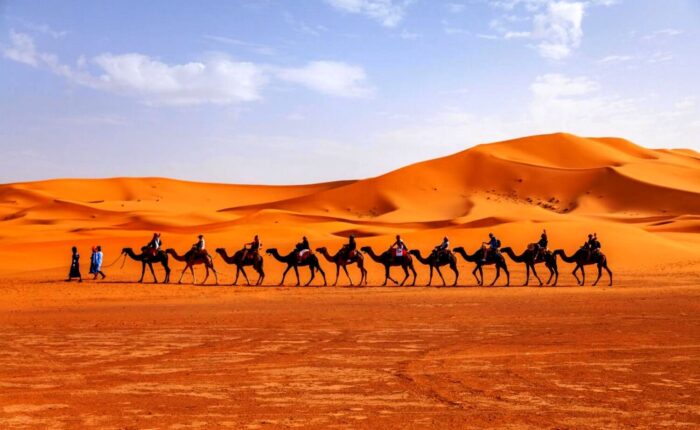 Merzouga Night camel adventure
