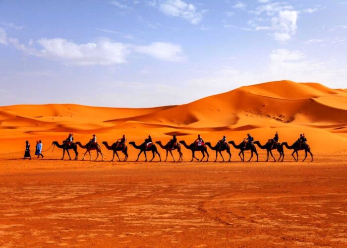Merzouga Night camel adventure